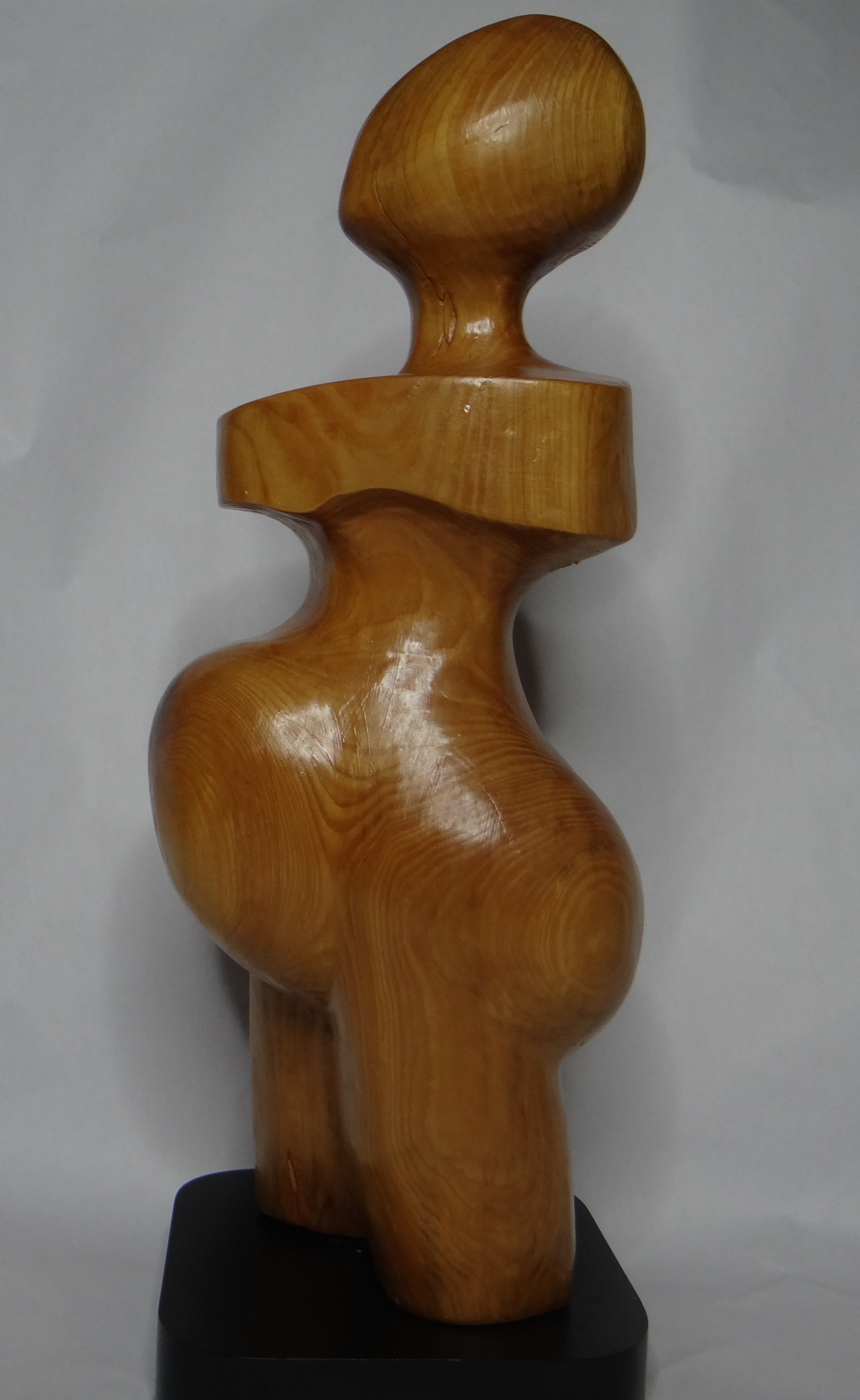 Looking Towards The Future 4