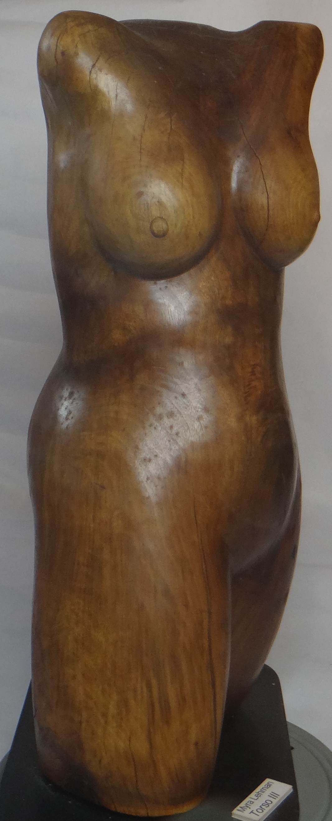 Torso III 2