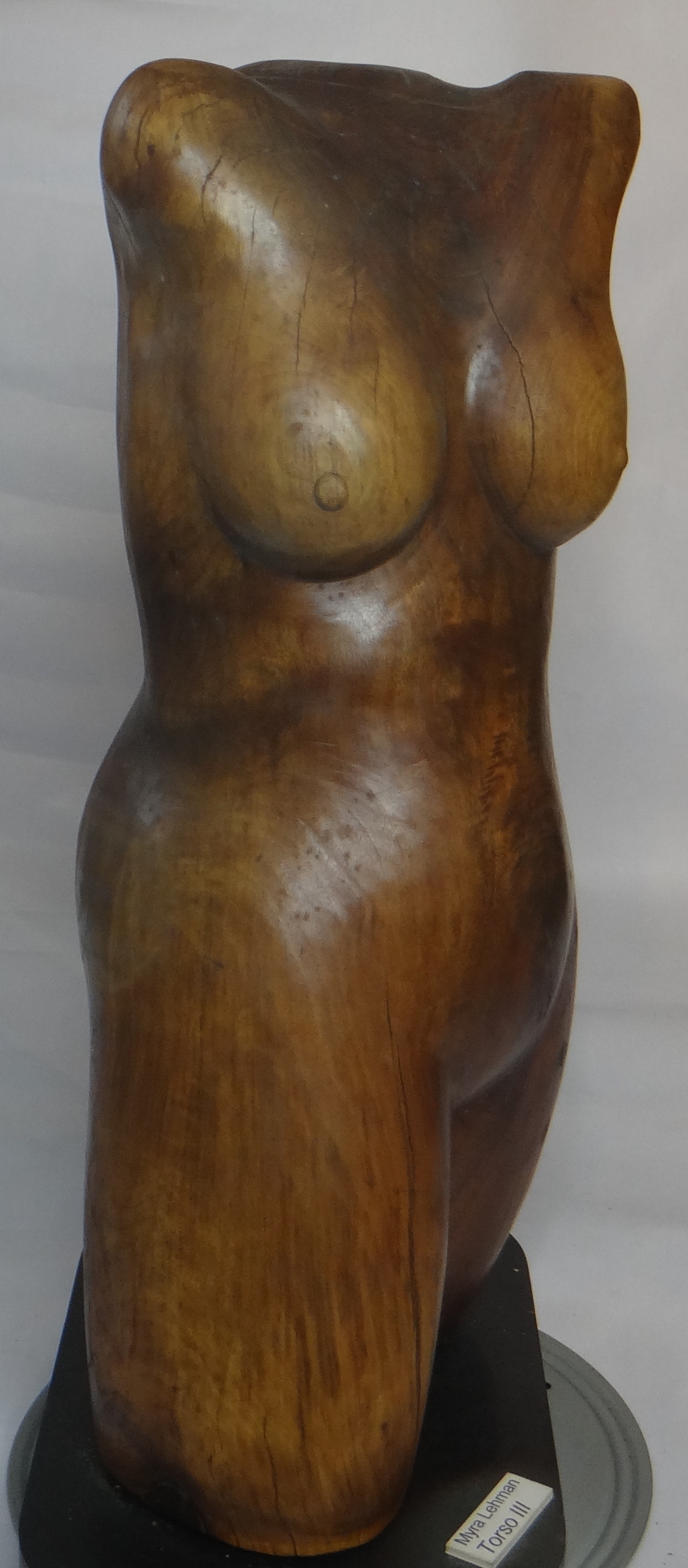 Torso III 4